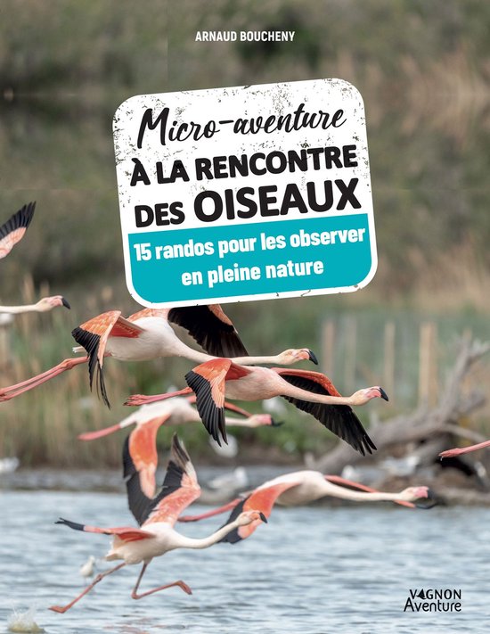 Micro-aventure à la rencontre des oiseaux - cover