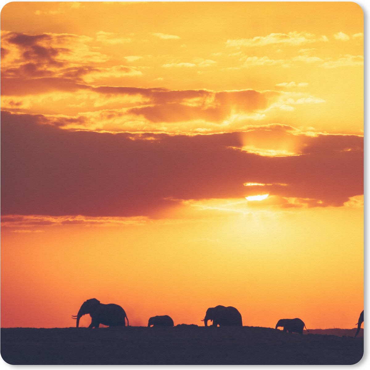 Muismat 20x20 cm - Mousepad Olifanten - Horizon - Zonsondergang - Dieren - Muismatten