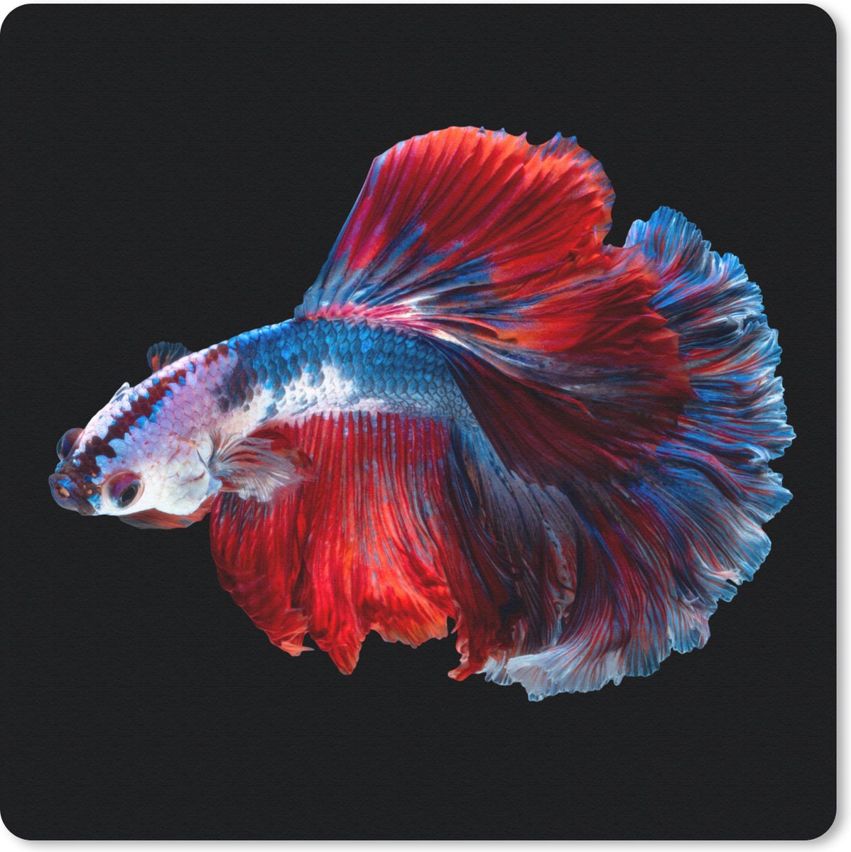 Muismat 30x30 cm - Mousepad Vis - Staart - Zwart - Muismatten