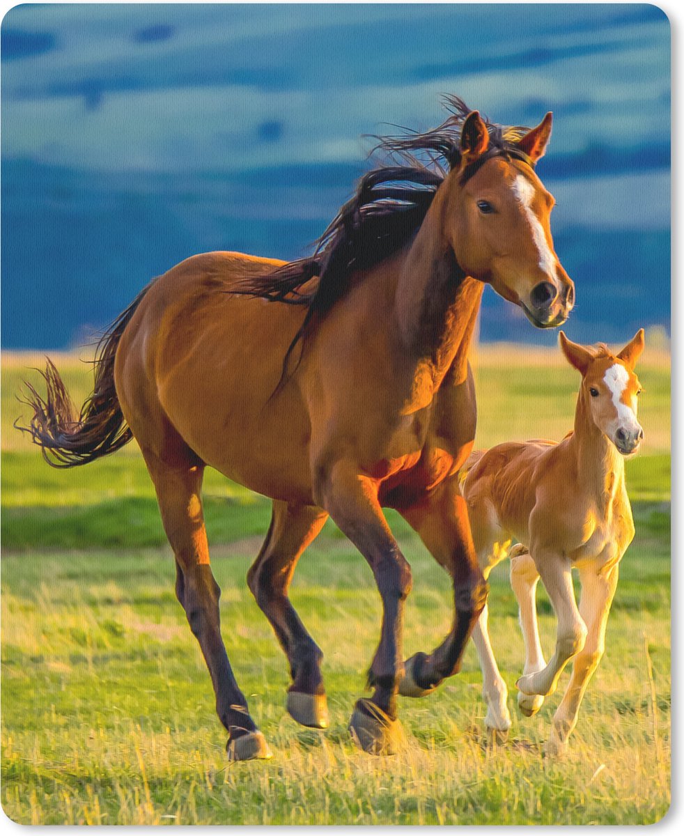 Muismat 19x23 cm - Mousepad Paarden - Gras - Dieren - Landschap - Natuur - Muismatten