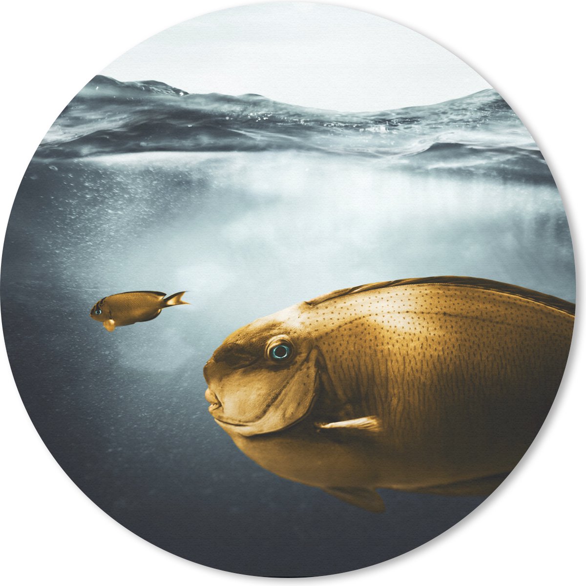 Muismat rond 40x40 cm - Mousepad Zee - Vissen - Goud - Ronde muismatten