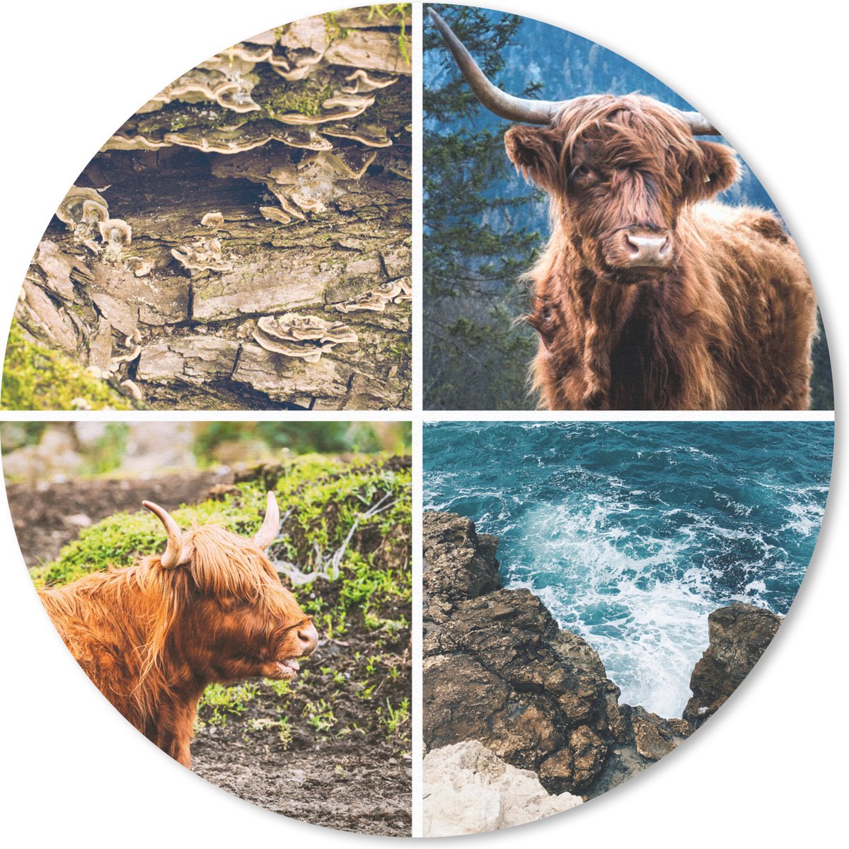 Muismat rond 50x50 cm - Mousepad Schotse hooglander - Natuur - Zee - Ronde muismatten