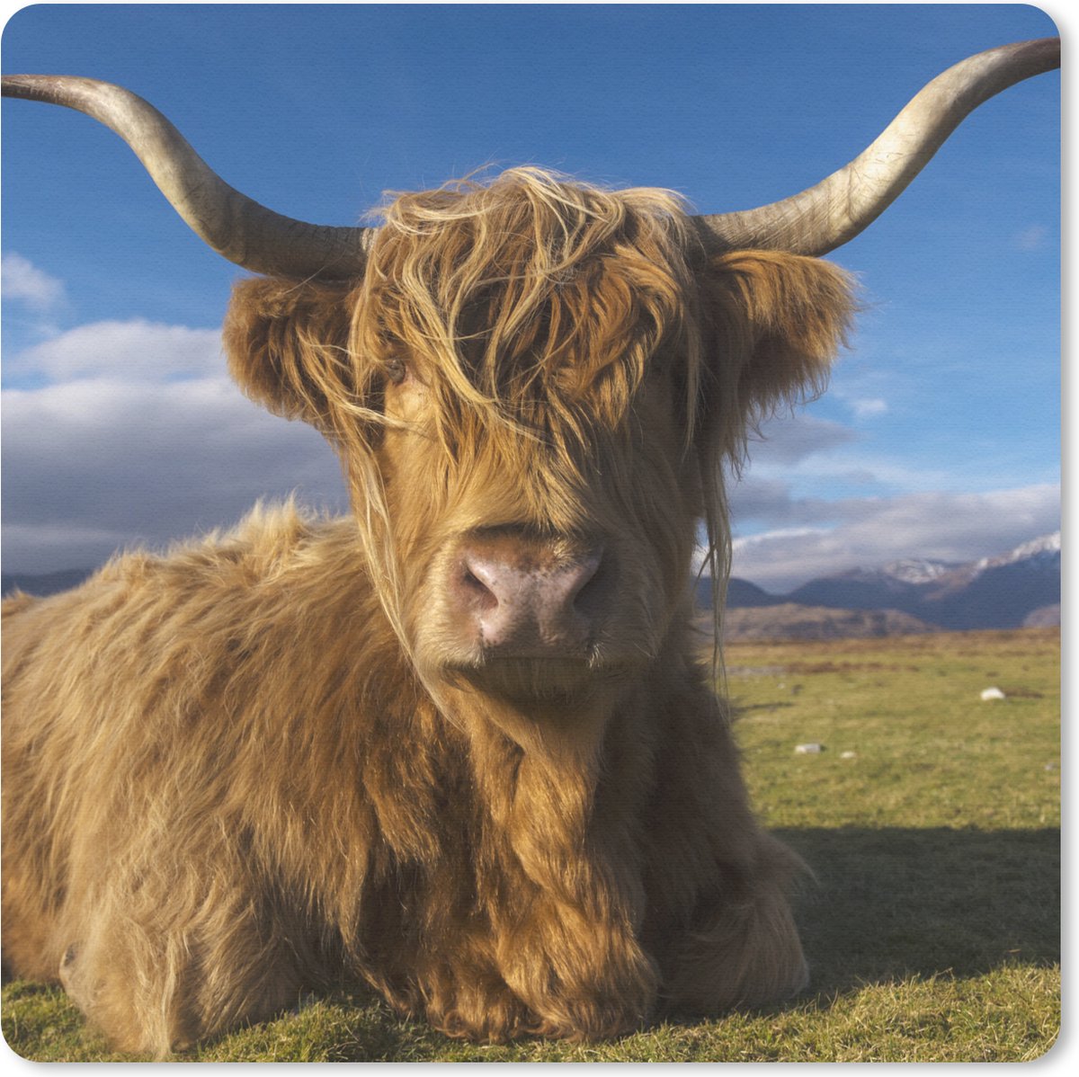 Muismat 30x30 cm - Mousepad Schotse Hooglander - Dieren - Gras - Muismatten