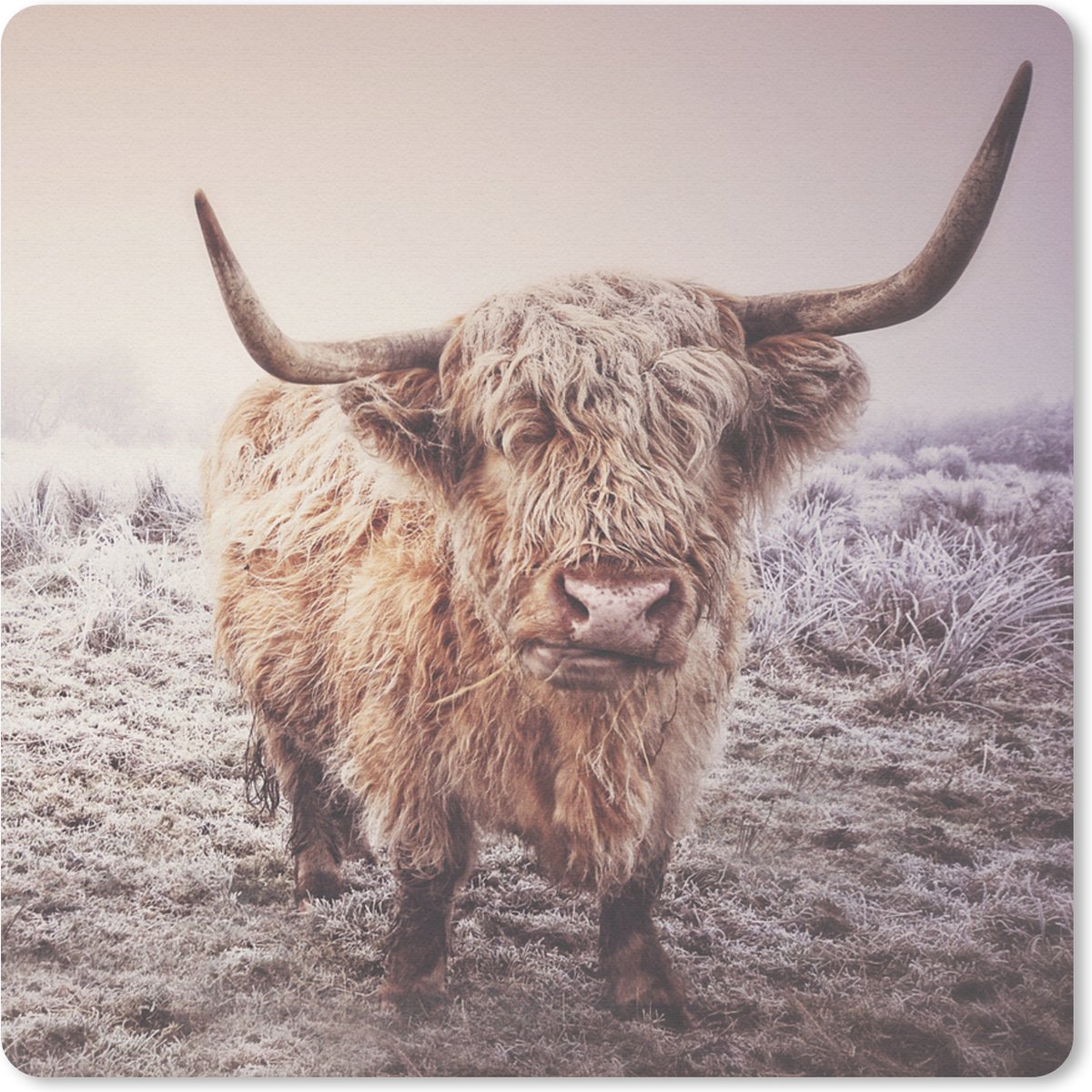Muismat 30x30 cm - Mousepad Schotse Hooglanders - Sneeuw - Zon - Muismatten
