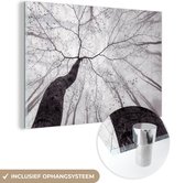 MuchoWow® Glasschilderij 30x20 cm - Schilderij acrylglas - Boom - Takken - Bladeren - Mist - Foto op glas - Muurdecoratie woonkamer - Wanddecoratie slaapkamer - Schilderijen