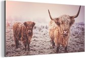 160 cm x 80 cm