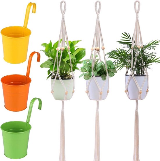 Kokodama 12 cm Gift Package Succulent (KDG12succ) - FloraXchange