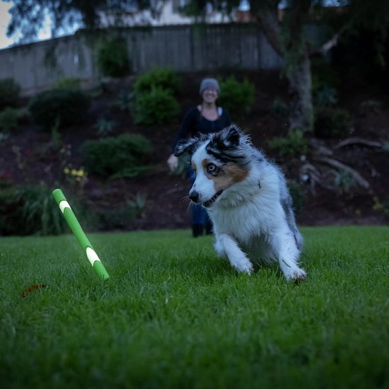 Chuckit! Air Fetch Wheel hondenspeelgoed