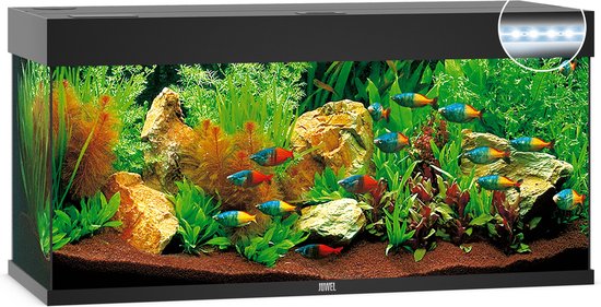 Juwel Aquarium Rio 240 Led 121x41x50 cm - Aquaria - Zwart Ca. 240 L