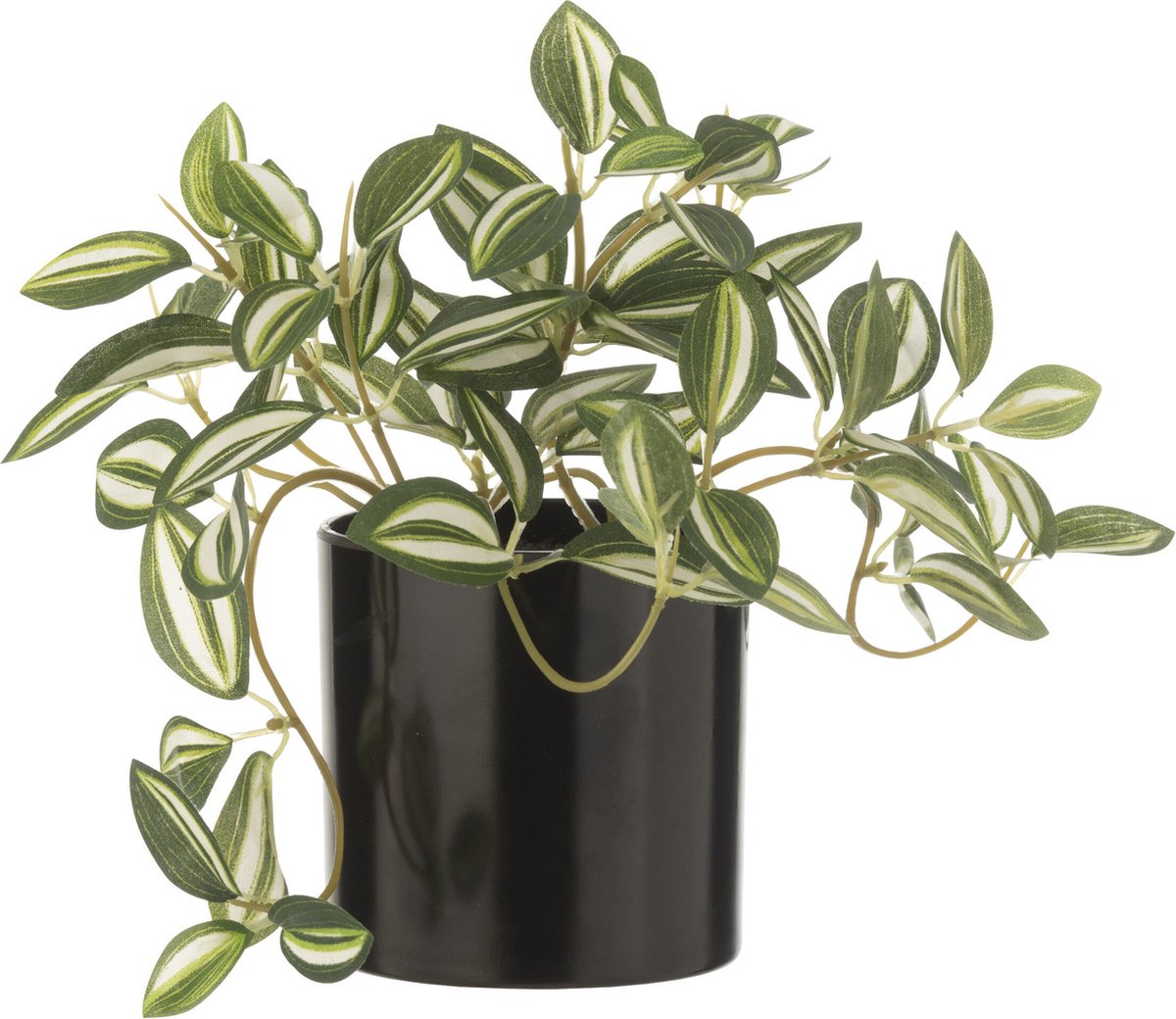 J-Line plant Tradescantia in pot - kunststof - groen/wit