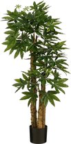 Mica Decorations Arbre artificiel Pachira - 85x85x175 cm - Polyester - Vert