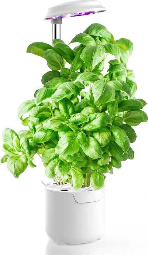 Click and Grow Smart Garden eenvoudiger dan hydrocultuur kweeksysteem, indoor tuin, kruidentuin, indoor broeikas met 9 plantenpods inbegrepen