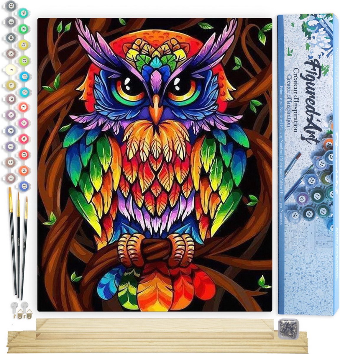 Figured'Art Schilderen op Nummer Volwassenen canvas Kleurrijke uil - Handwerk acrylverf Kit DIY Compleet - 40x50cm met DIY houten lijst