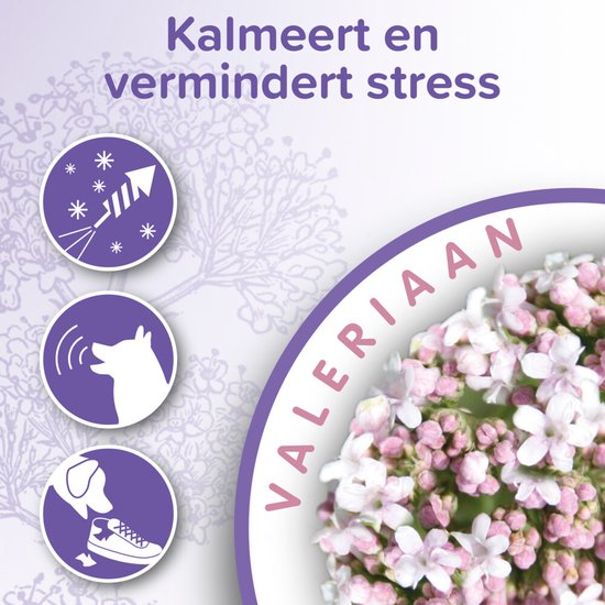 Beaphar No Stress Band hond