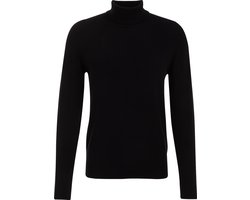 WE Fashion Heren fijngebreide coltrui
