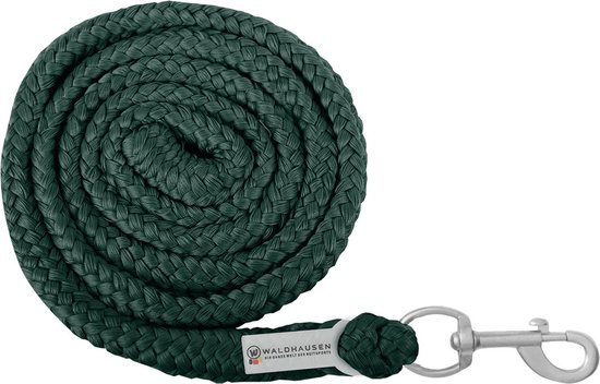 Longe Waldhausen économique avec mousqueton vert pin