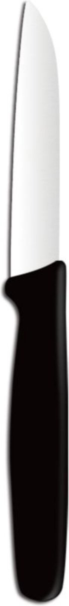 HENDI Schilmes – ergonomisch handvat – roestvrij staal – 180 mm – zwart