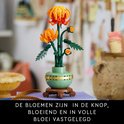 Chrysanthème LEGO avec bourgeons et fleurs dans un pot vert pastel sur socle en bois.