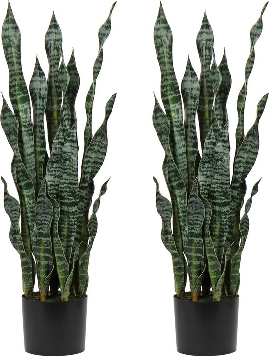 Pteridium Kunstvaren 150 cm kopen? • Verzonden binnen 1-2 dagen