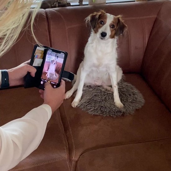 PillowBuddies - Oreiller câlin avec propre impression - 30 cm - de votre animal de compagnie, visage, véhicule, etc. - avec eigen photo - Coussin pour chien - Coussin pour chat