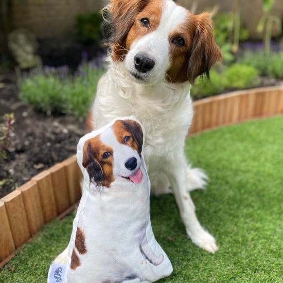 PillowBuddies - Oreiller câlin avec propre impression - 30 cm - de votre animal de compagnie, visage, véhicule, etc. - avec eigen photo - Coussin pour chien - Coussin pour chat
