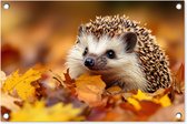 Tuinposter 60x40 cm - Tuindecoratie Egel - Bos - Herfstbladeren - Herfst - Bosdieren - Natuur - Poster voor in de tuin - Buiten decoratie - Schutting tuinschilderij - Tuindoek muurdecoratie - Wanddecoratie balkondoek