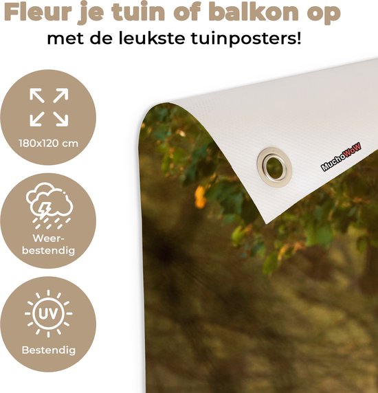 Tuinposter 180x120 cm - Tuindecoratie Herten - Bos - Herfst - Bosdieren - Natuur - Hert - Poster voor in de tuin - Buiten decoratie - Schutting tuinschilderij - Tuindoek muurdecoratie - Wanddecoratie balkondoek