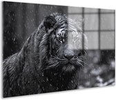 Tijger schilderijen - Dieren glasschilderij - Schilderij Regen - Muurdecoratie klassiek - Schilderijen plexiglas - Wanddecoratie woonkamer acrylglas 60x40 cm