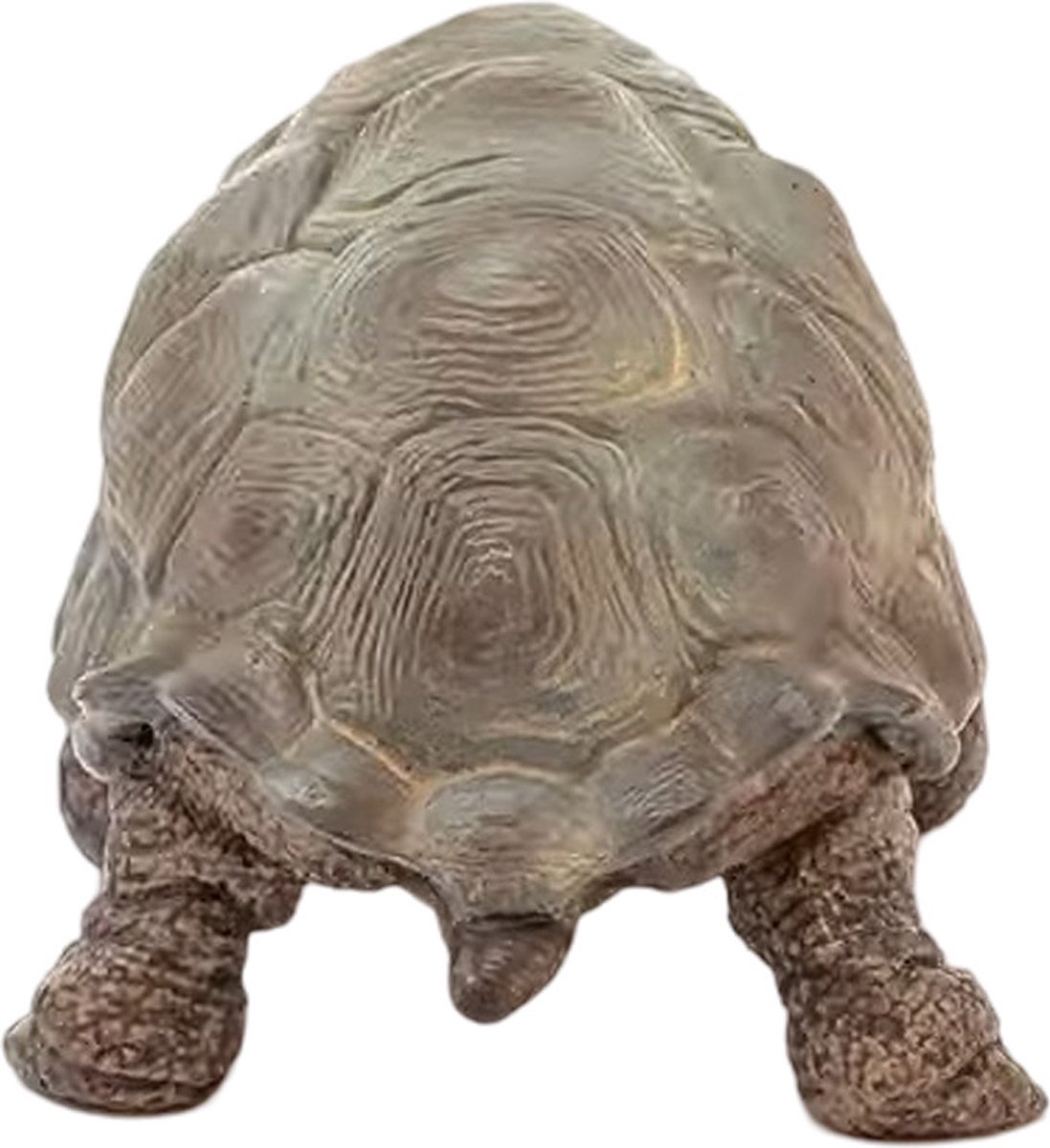 schleich WILD LIFE - Reuzenschildpad - Speelfiguur - Schildpad speelgoed - 14824 — afbeelding 8