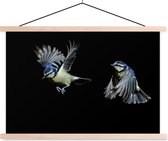 Affiche textielposter deux oiseaux sur fond noir lattes vierges 90x60 cm - Tirage photo sur plaque école (décoration murale salon / chambre)