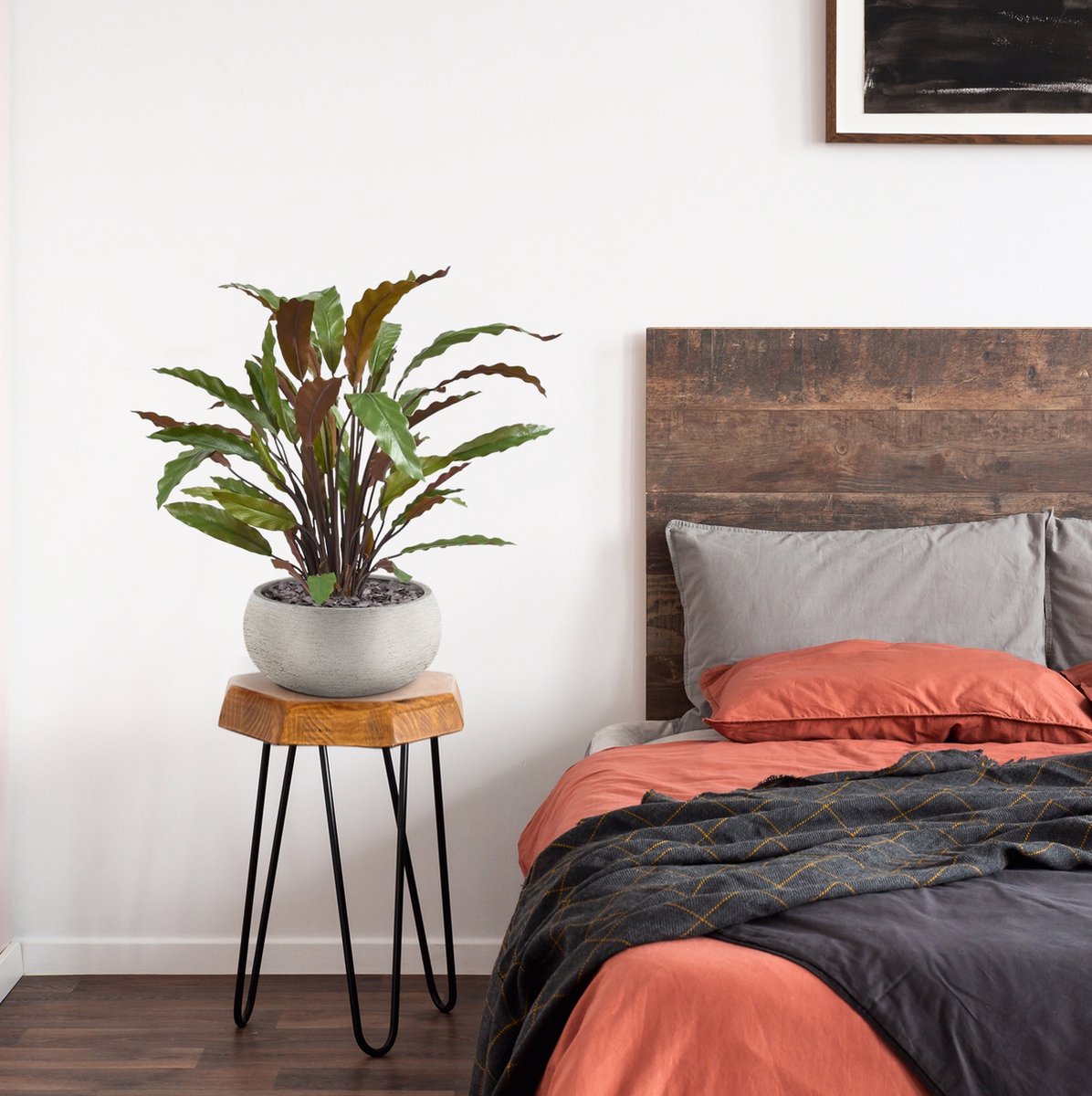 maxifleur Kunstplanten Calathea Red kunstplant 60cm