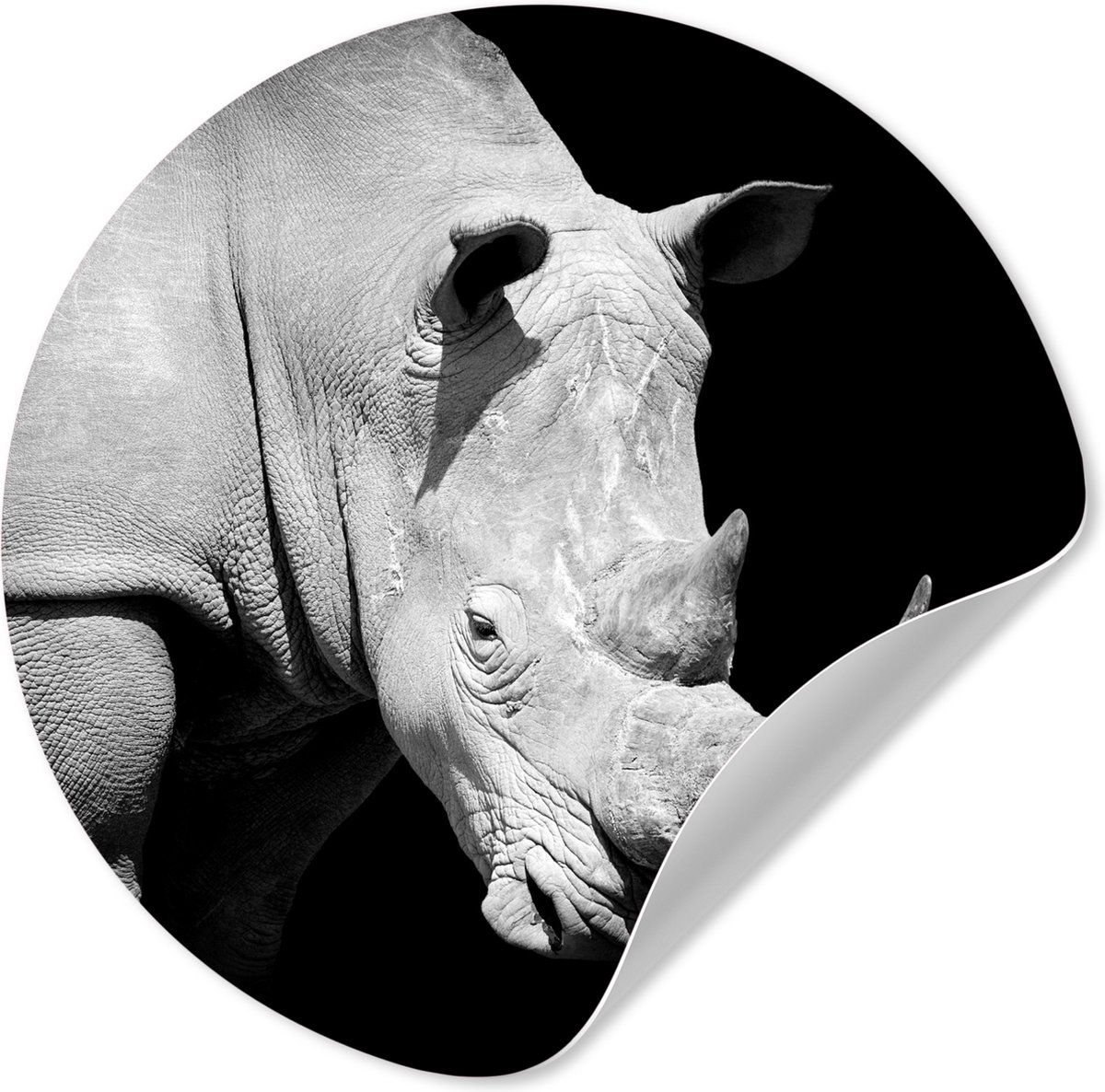 WallCircle® - Behangcirkel 30x30 cm - Muurstickers Neushoorn - Inductie beschermer - Portr