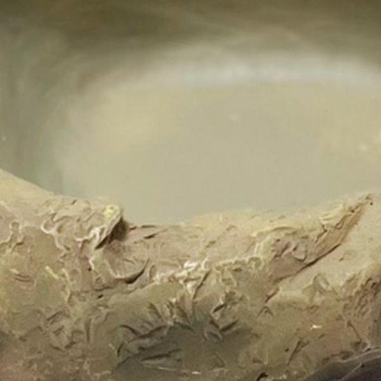 De online leverancier van levende voedseldieren - Waterbak of voerschaal kopen voor het terrarium