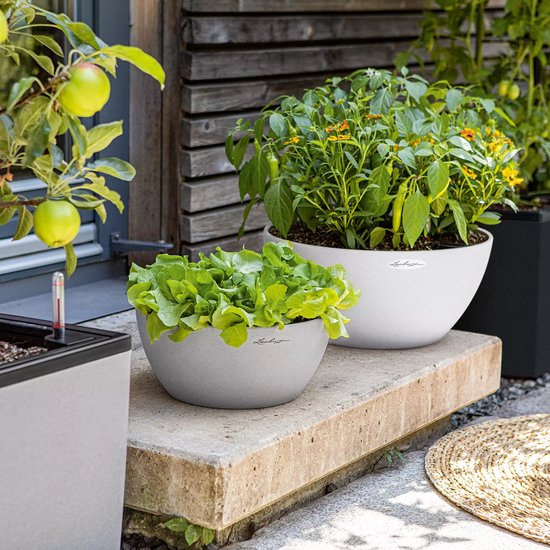 LECHUZA CUBETO Stone 40 - Plantenbak - met uitneembare binnenbak - met bewateringssysteem - ALL-IN-ONE set met LECHUZA-PON - steengrijs