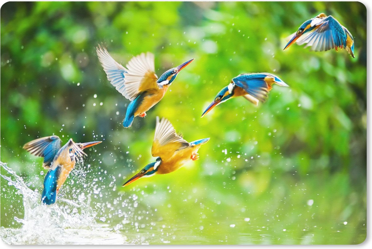 Muismat XXL 90x60 cm - Bureau onderlegger - Bureau mat Vogels - IJsvogel - Dieren - Water - Bureaumat - Gaming mousepad xl - Bureaulegger groot - Computer deskmat
