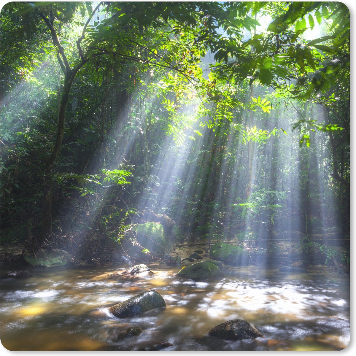Muismat XXL 40x40 cm - Bureau onderlegger - Bureau mat Zonnestralen dringen door de bomen het regenwoud in Maleisië binnen - Bureaumat - Gaming mousepad xl - Bureaulegger groot - Computer deskmat