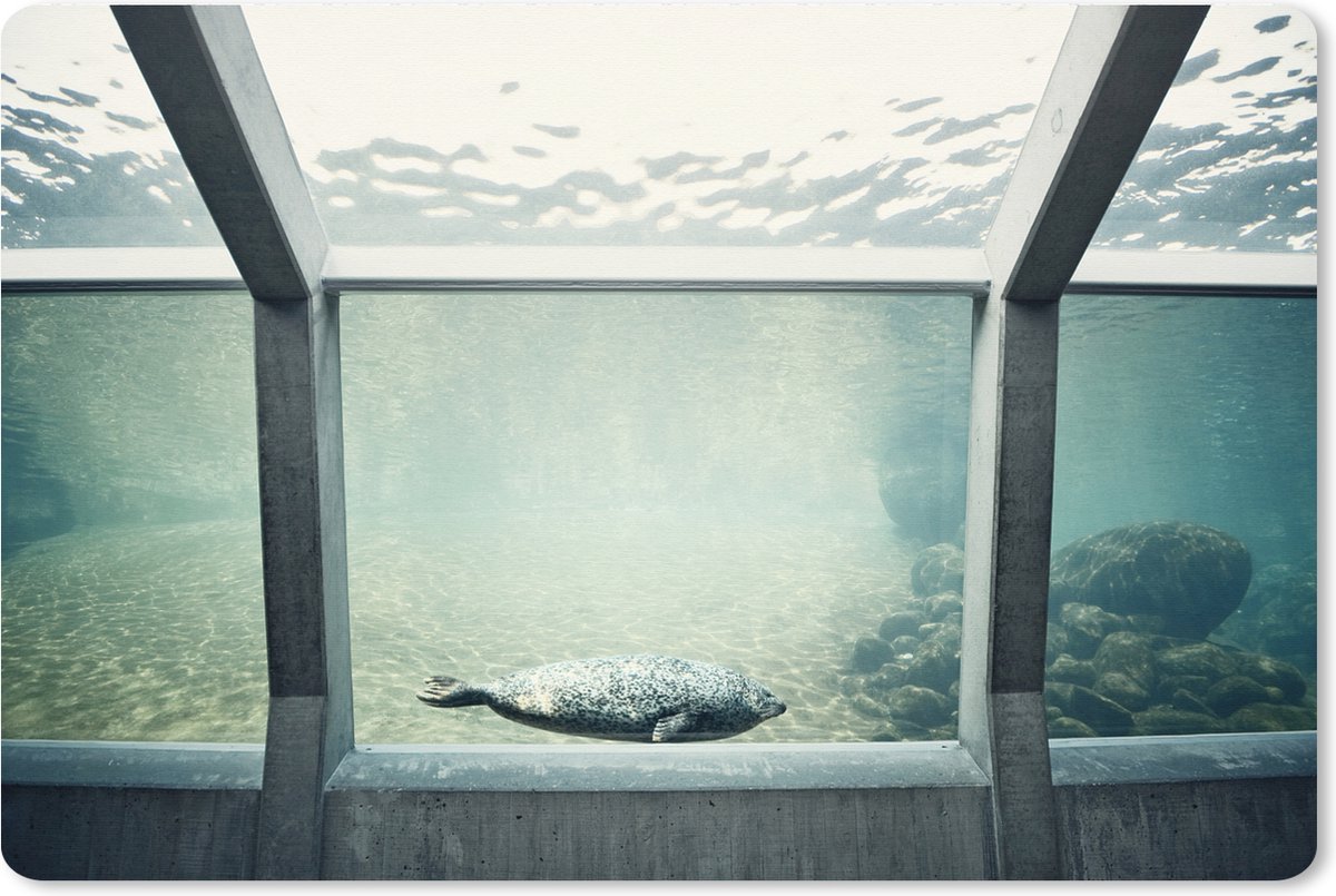 Muismat XXL 120x80 cm - Bureau onderlegger - Bureau mat Zeehond in aquarium - Bureaumat - Gaming mousepad xl - Bureaulegger groot - Computer deskmat