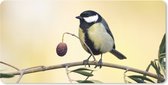 Muismat XXL - Bureau onderlegger - Bureau mat - Vogel op een tak met een bes - 100x50 cm - XXL muismat