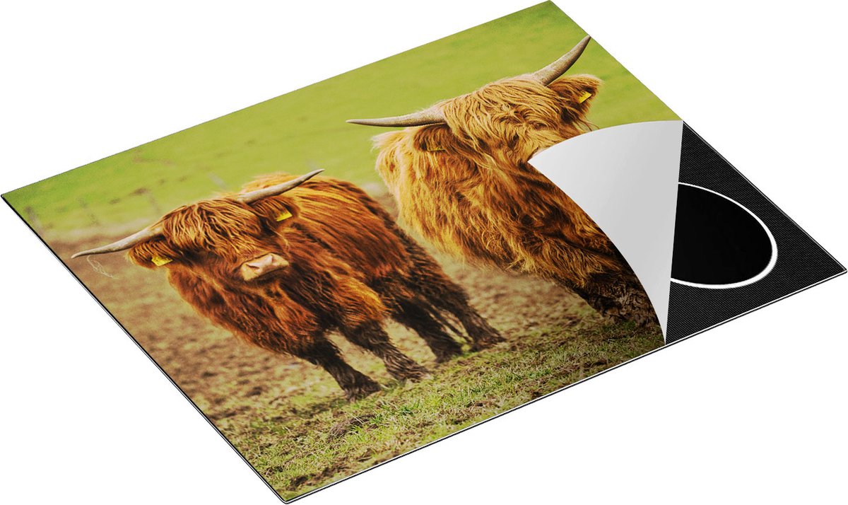 Chefcare Inductie Beschermer Twee Schotse Hooglanders in de Weide - 65x55 cm - Afdekplaat Inductie - Kookplaat Beschermer - Inductie Mat