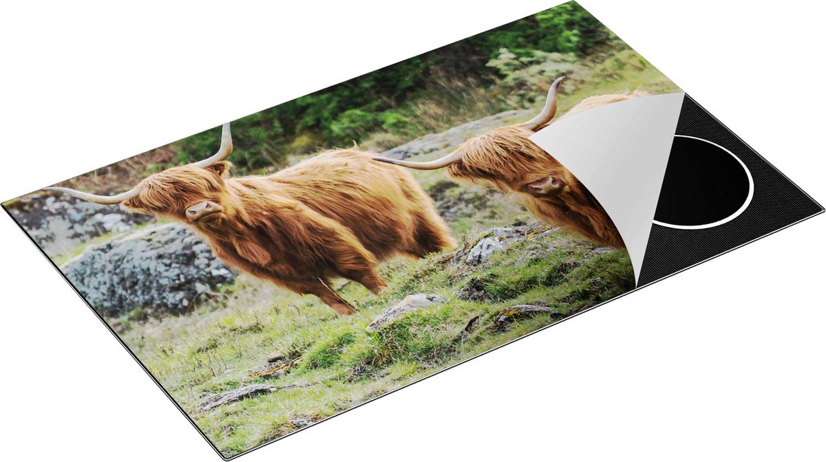 Chefcare Inductie Beschermer Twee Schotse Hooglanders bij Stenen - 85x50 cm - Afdekplaat Inductie - Kookplaat Beschermer - Inductie Mat