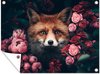 Renard - Fleurs