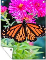 Tuinposter - Bloem - Vlinder - Roze - Lente - Tuindoeken voor buiten - 120x160 cm - Tuindoek