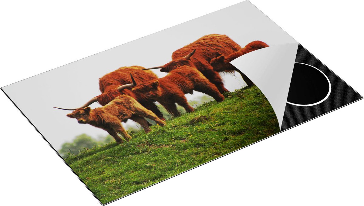 Chefcare Inductie Beschermer Schotse Hooglander Familie - 80x55 cm - Afdekplaat Inductie - Kookplaat Beschermer - Inductie Mat