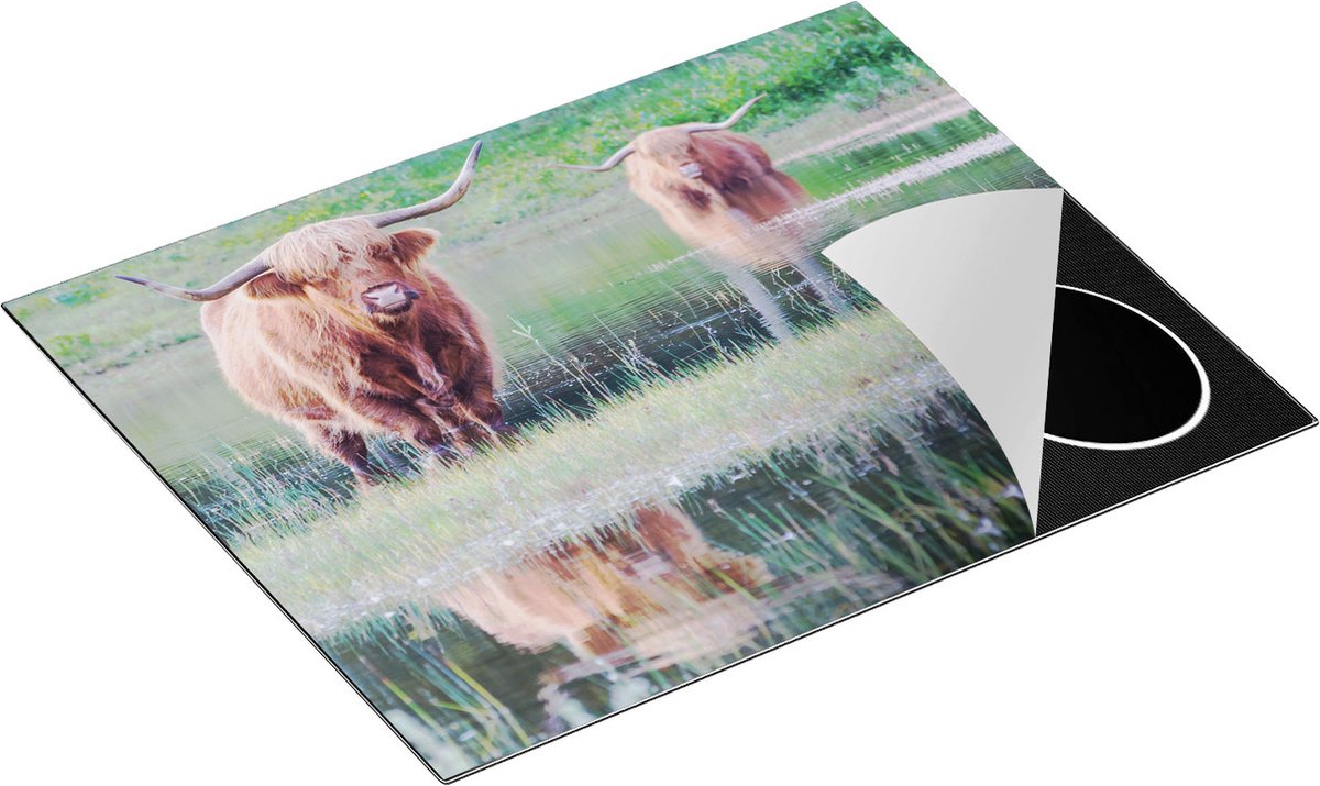 Chefcare Inductie Beschermer Twee Schotse Hooglanders in het Moeras - 65x55 cm - Afdekplaat Inductie - Kookplaat Beschermer - Inductie Mat