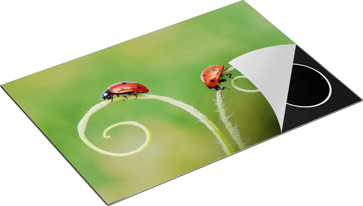 Chefcare Inductie Beschermer Twee Lieveheersbeestjes in het Gras - 75x50 cm - Afdekplaat Inductie - Kookplaat Beschermer - Inductie Mat