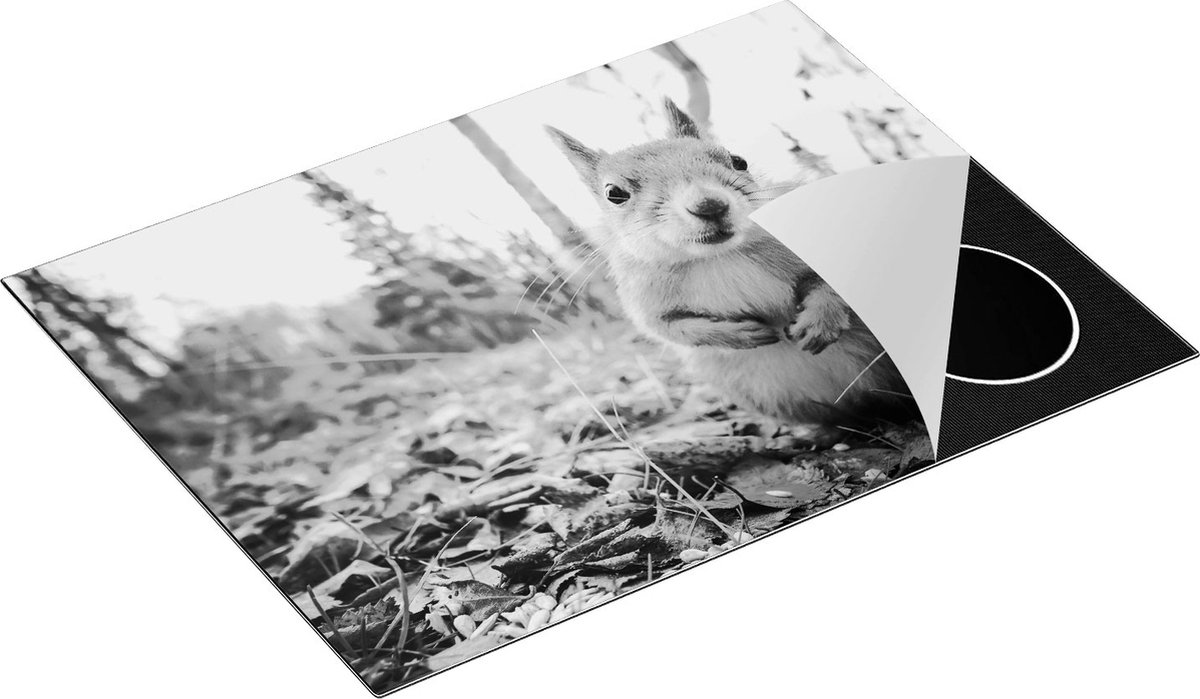 Chefcare Inductie Beschermer Eekhoorn in het Bos tijdens de Herfst - Zwart Wit - 70x55 cm - Afdekplaat Inductie - Kookplaat Beschermer - Inductie Mat