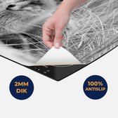 Chefcare Inductie Beschermer Vos in de Duinen - Zwart Wit - 59x51 cm - Afdekplaat Inductie - Kookplaat Beschermer - Inductie Mat
