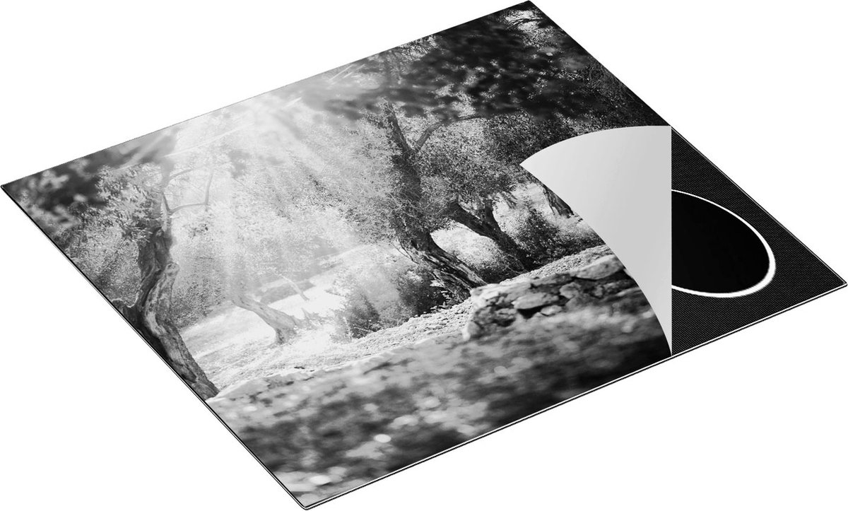 Chefcare Inductie Beschermer Olijfbomen - Olijfboomgaard - Zwart Wit - 60x55 cm - Afdekplaat Inductie - Kookplaat Beschermer - Inductie Mat