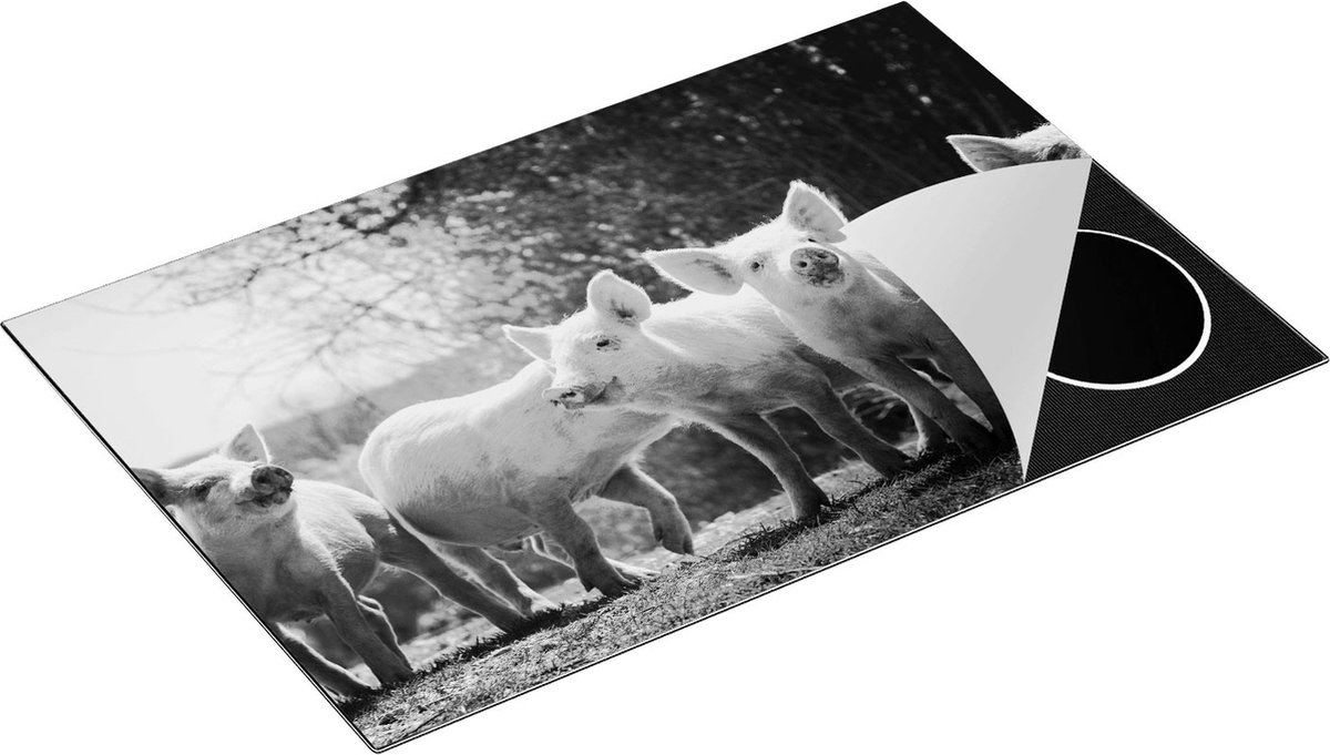 Chefcare Inductie Beschermer Groep Jonge Varkens - Zwart Wit - 80x50 cm - Afdekplaat Inductie - Kookplaat Beschermer - Inductie Mat