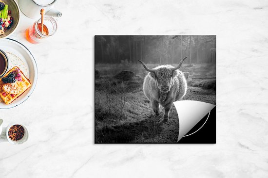 Chefcare Inductie Beschermer Schotse Hooglander in de Bossen - Zwart Wit - 57,6x51,6 cm - Afdekplaat Inductie - Kookplaat Beschermer - Inductie Mat